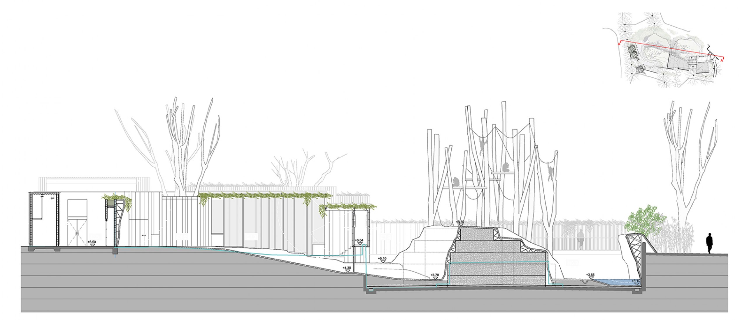 Section. Barcelona Zoo orangutans habitat by Forgas Arquitectes.  Section. Barcelona Zoo orangutans habitat by Forgas Arquitectes.