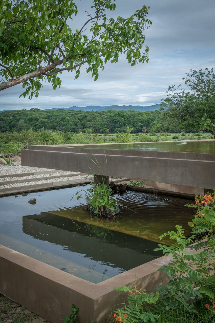 Guayacán nursery garden by Ambrosi Etchegaray. Photograph by Sergio López and Jaime Navarro. Guayacán nursery garden by Ambrosi Etchegaray. Photograph by Sergio López and Jaime Navarro.
