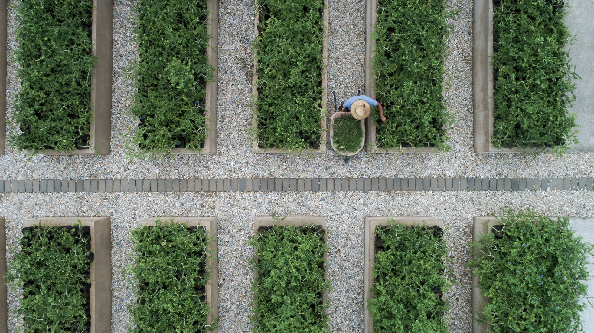 Guayacán nursery garden by Ambrosi Etchegaray. Photograph by Sergio López and Jaime Navarro. Guayacán nursery garden by Ambrosi Etchegaray. Photograph by Sergio López and Jaime Navarro.