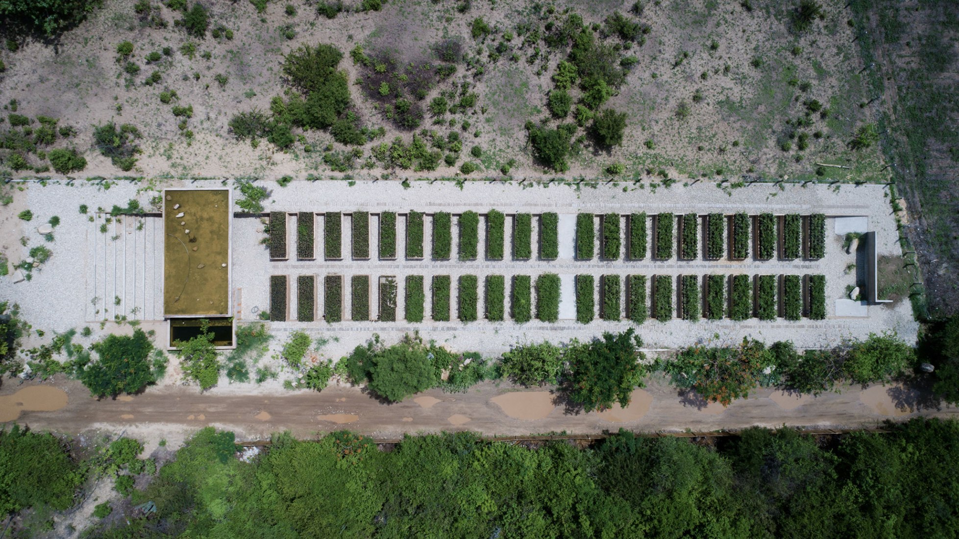 Guayacán nursery garden by Ambrosi Etchegaray. Photograph by Sergio López and Jaime Navarro. Guayacán nursery garden by Ambrosi Etchegaray. Photograph by Sergio López and Jaime Navarro.