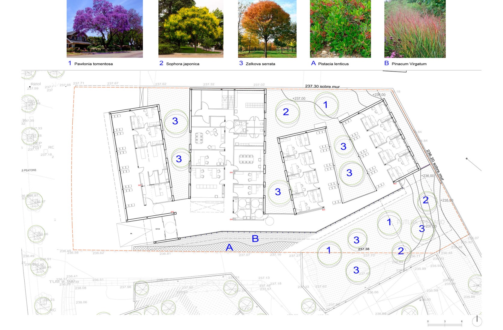 Gardening floor plan. Can llong primary health care centre by Comas-Pont arquitectes. Gardening floor plan. Can llong primary health care centre by Comas-Pont arquitectes.