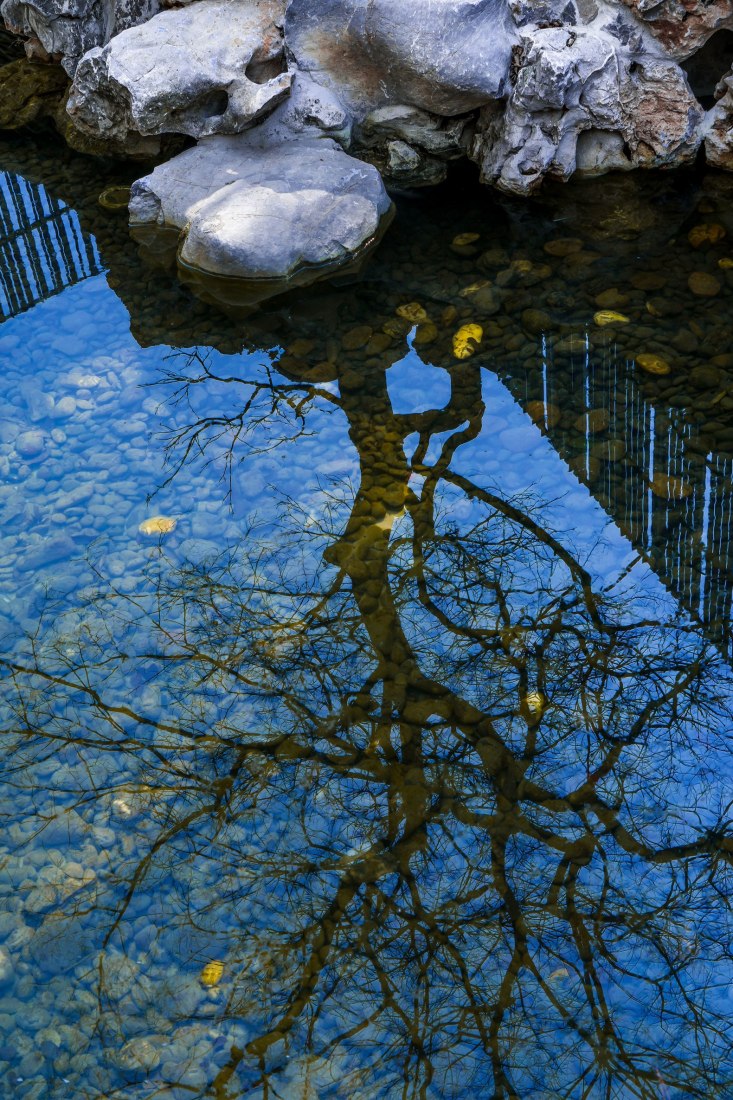 Detalle del jardín. Eight tenths Garden por Wutopia Lab. Fotografía © CreatAR Detalle del jardín. Eight tenths Garden por Wutopia Lab. Fotografía © CreatAR