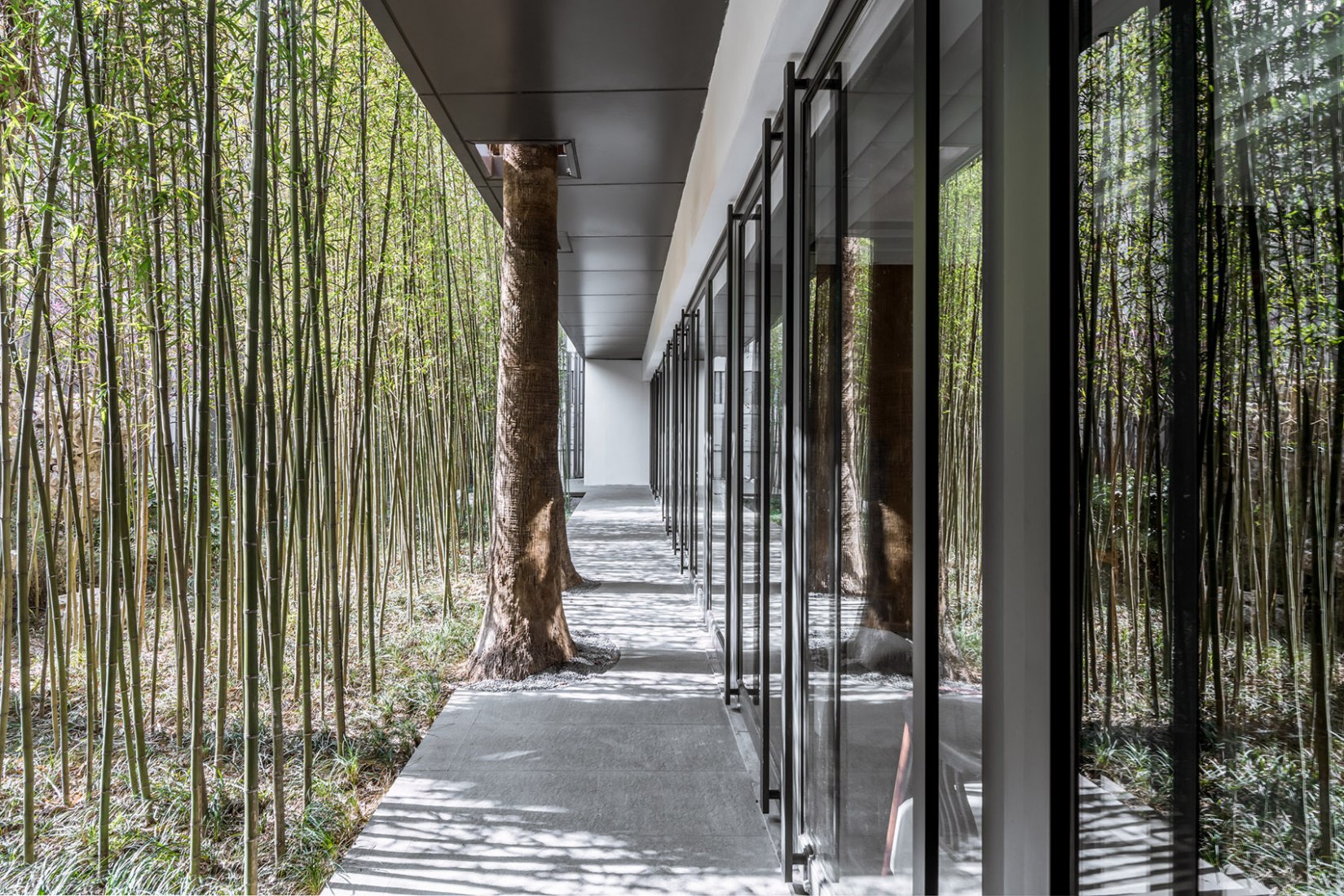 Detalle del acceso al jardín. Eight tenths Garden por Wutopia Lab. Fotografía © CreatAR Detalle del acceso al jardín. Eight tenths Garden por Wutopia Lab. Fotografía © CreatAR