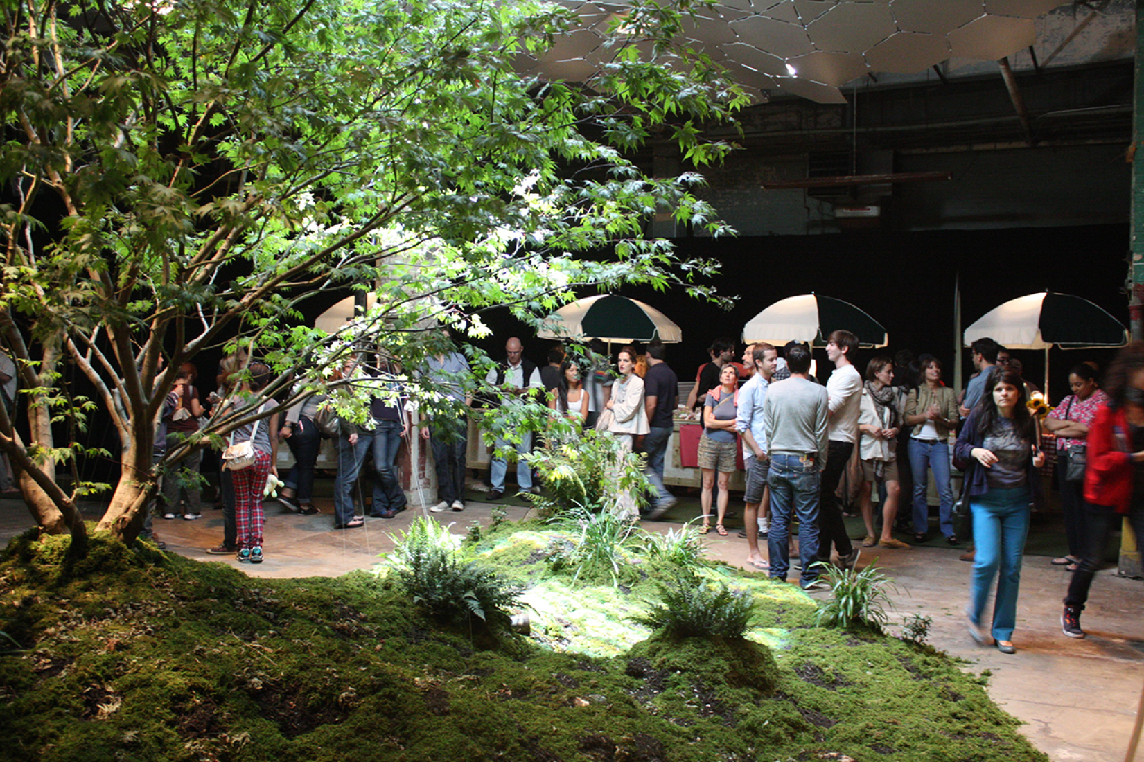 ¿Cómo será de popular el Lowline durante el otoño y el invierno? ¡Quieren descubrirlo! 