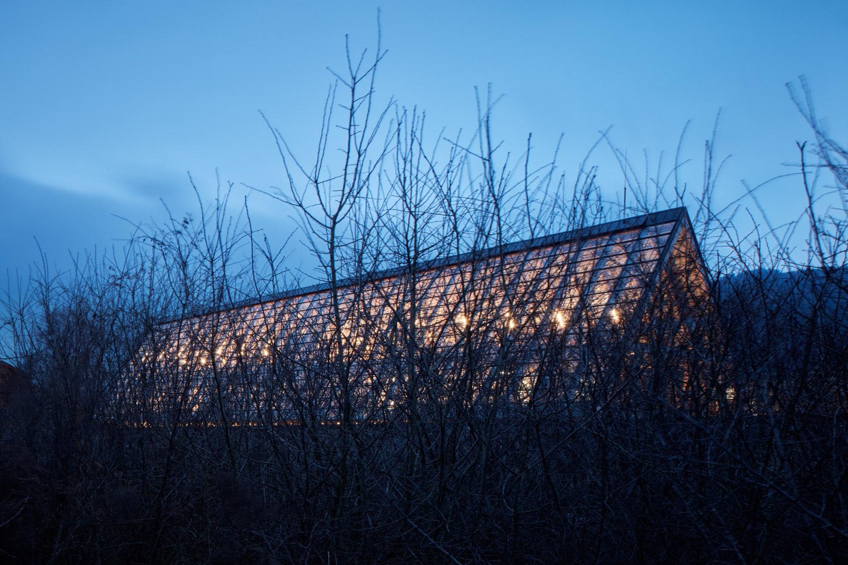 Kloboucká lesní Headquarters by Mjölk architekti. Photograph by BoysPlayNice.