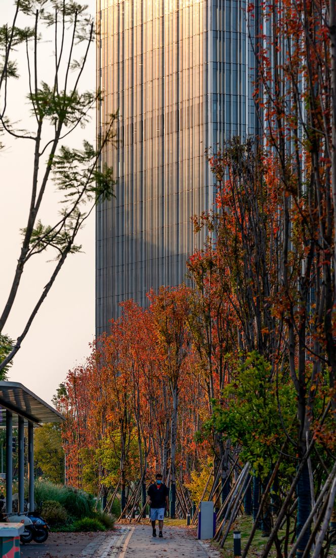 Oppo Technology & Research Centre Tower by Gianni Botsford Architects. Photograph by Xiao Shihao. Oppo Technology & Research Centre Tower by Gianni Botsford Architects. Photograph by Xiao Shihao.