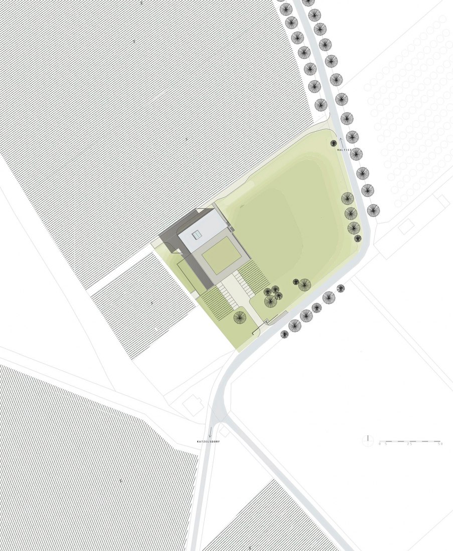 Site plan. Obelisk Winery by AiD Team. 