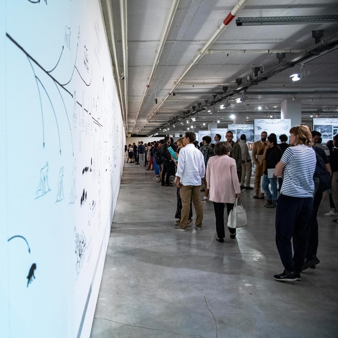 Agricultura y Arquitectura: Tomando el lado del campo, exposición. T2019. Fotografía de Hugo David