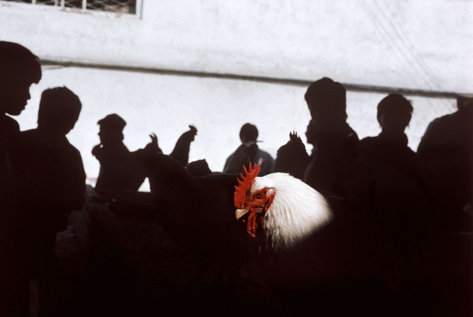 Gueorgui Pinkhassov “Just Light Like” 1992 - Mercado. Tashkent. Uzbekistán ©Gueorgui Pinkhassov/Magnum Photos Gueorgui Pinkhassov «Just Light Like» 1992 - Mercado. Tashkent. Uzbekistán ©Gueorgui Pinkhassov/Magnum Photos