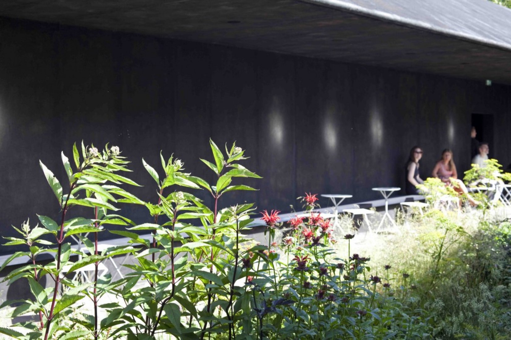 Pabellón Serpentine Gallery 2011, diseñado por Peter Zumthor. Fotografía por John Offenbach