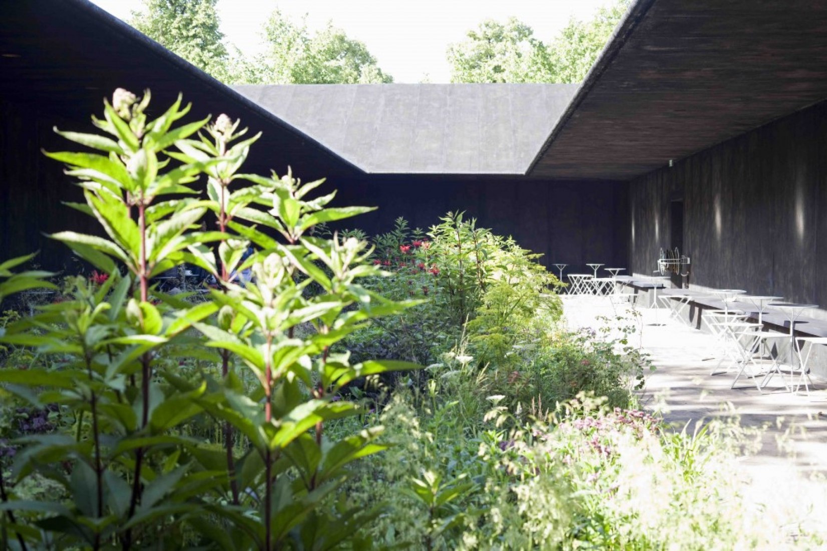 Pabellón Serpentine Gallery 2011, diseñado por Peter Zumthor. Fotografía por John Offenbach