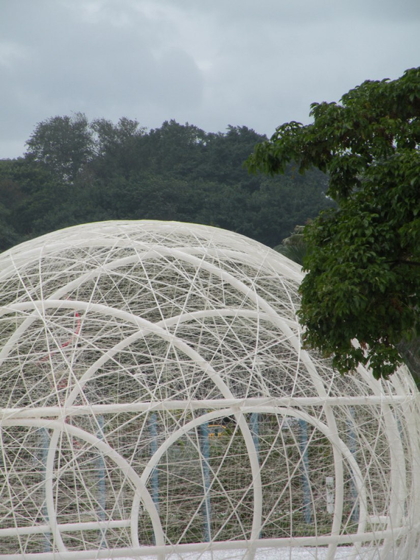 "SILENT GARDEN" [I] por Patricia Meneses