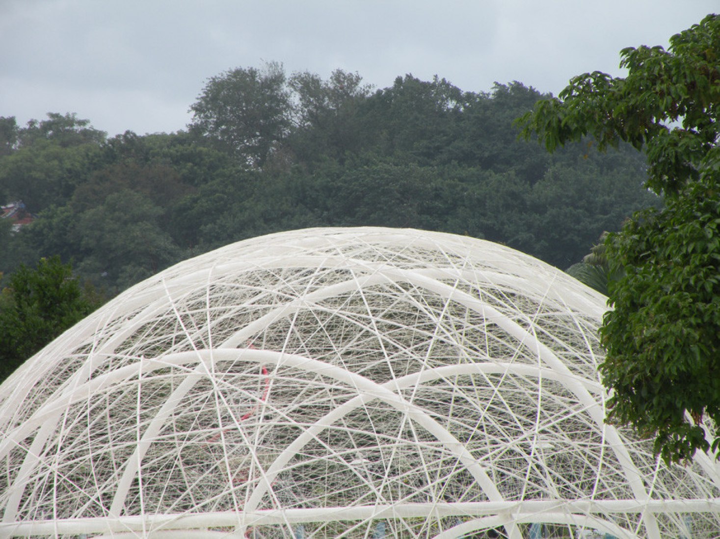 "SILENT GARDEN" [I] por Patricia Meneses