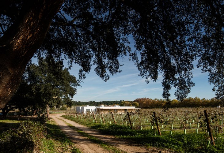 Exterior view of the plot. Vineyard house by Blaanc. Photography © João Morgado