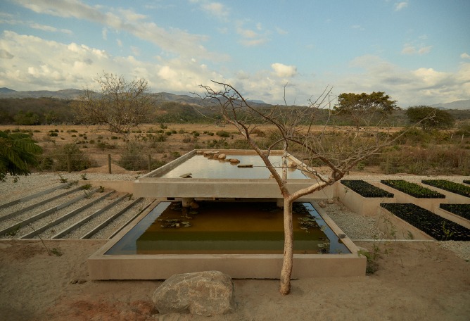 Guayacán nursery garden by Ambrosi Etchegaray. Photograph by Sergio López and Jaime Navarro. Guayacán nursery garden by Ambrosi Etchegaray. Photograph by Sergio López and Jaime Navarro.