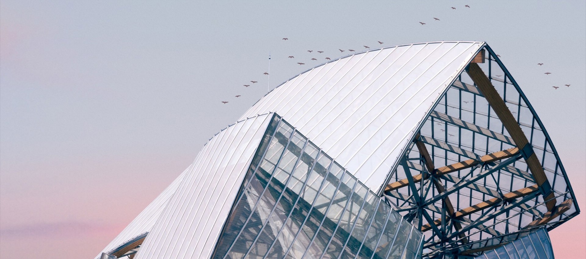 7 Best Photos of Frank Gehry's Fondation Louis Vuitton Building #MyFLV  contest, The Strength of Architecture