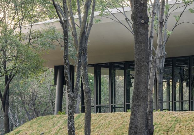 Garden and Scenic Pavilion in Chapultepec Forest by Parabase + Michan Architecture. Photograph by Arturo Arrieta