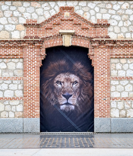 "The Animals" by Estela de Castro. Photograph by Fernando Tribiño / Matadero Madrid "The Animals" by Estela de Castro. Photograph by Fernando Tribiño / Matadero Madrid
