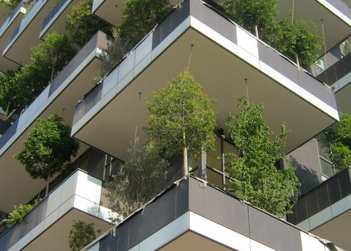 Milán planta un nuevo bosque en el cielo