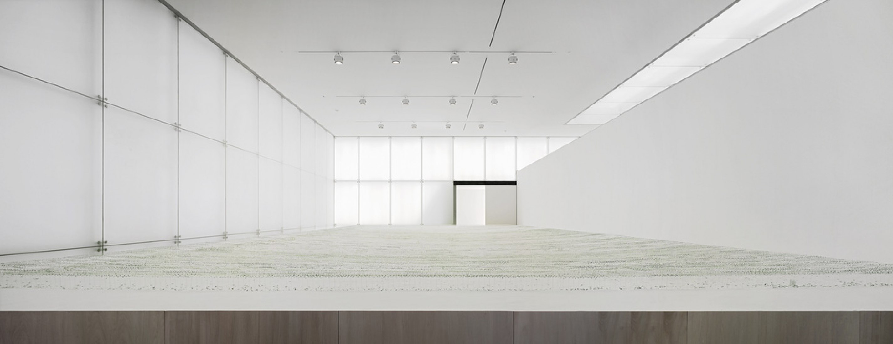 JUNYA ISHIGAMI. How small? How vast? How archItecture grows? | The ...