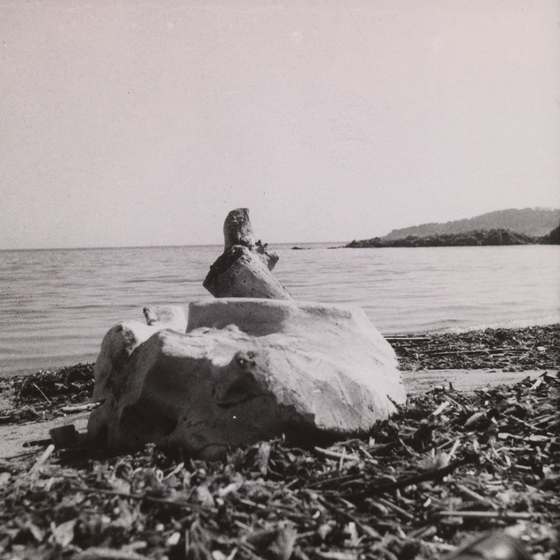 Petrified Wood, c.1950. Photograph. Exhibition Eileen Gray: the private painter. Image courtesy of the Osborne Samuel Gallery.  Petrified Wood, c.1950. Photograph. Exhibition Eileen Gray: the private painter. Image courtesy of the Osborne Samuel Gallery.