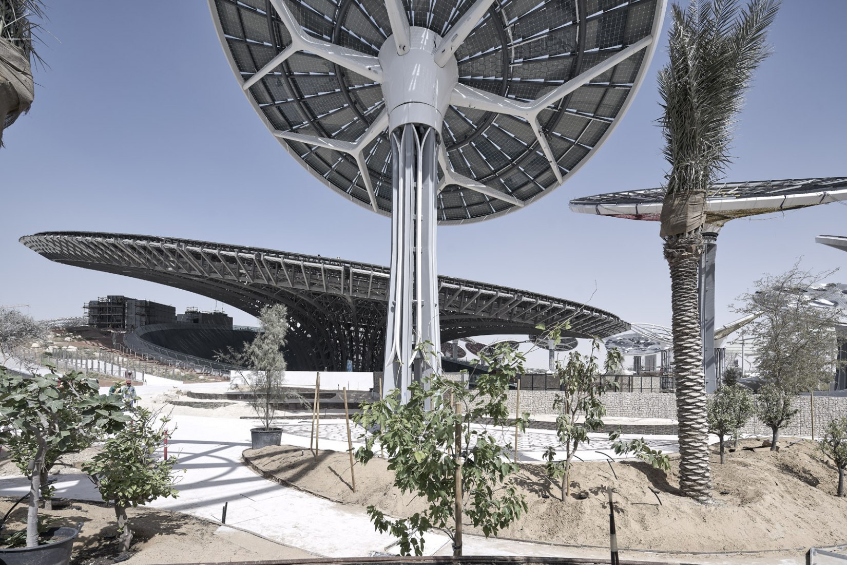 Sustainable Development At Dubai Expo 2020. Terra, Sustainability ...