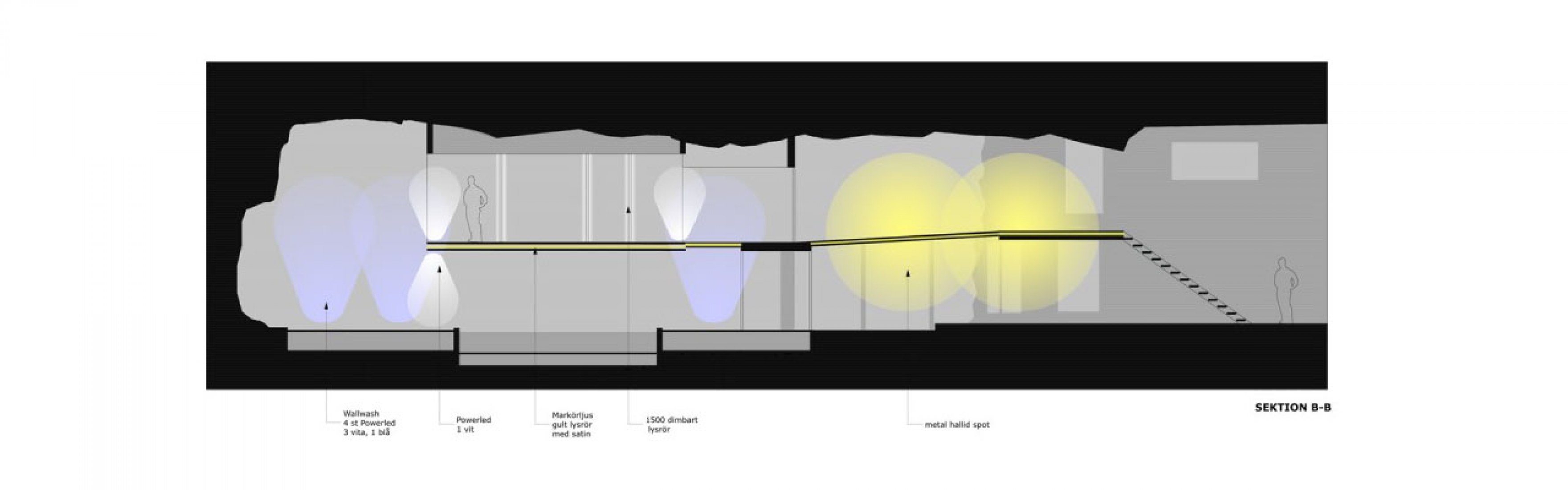 Section.  Architecture of WikiLeaks. 